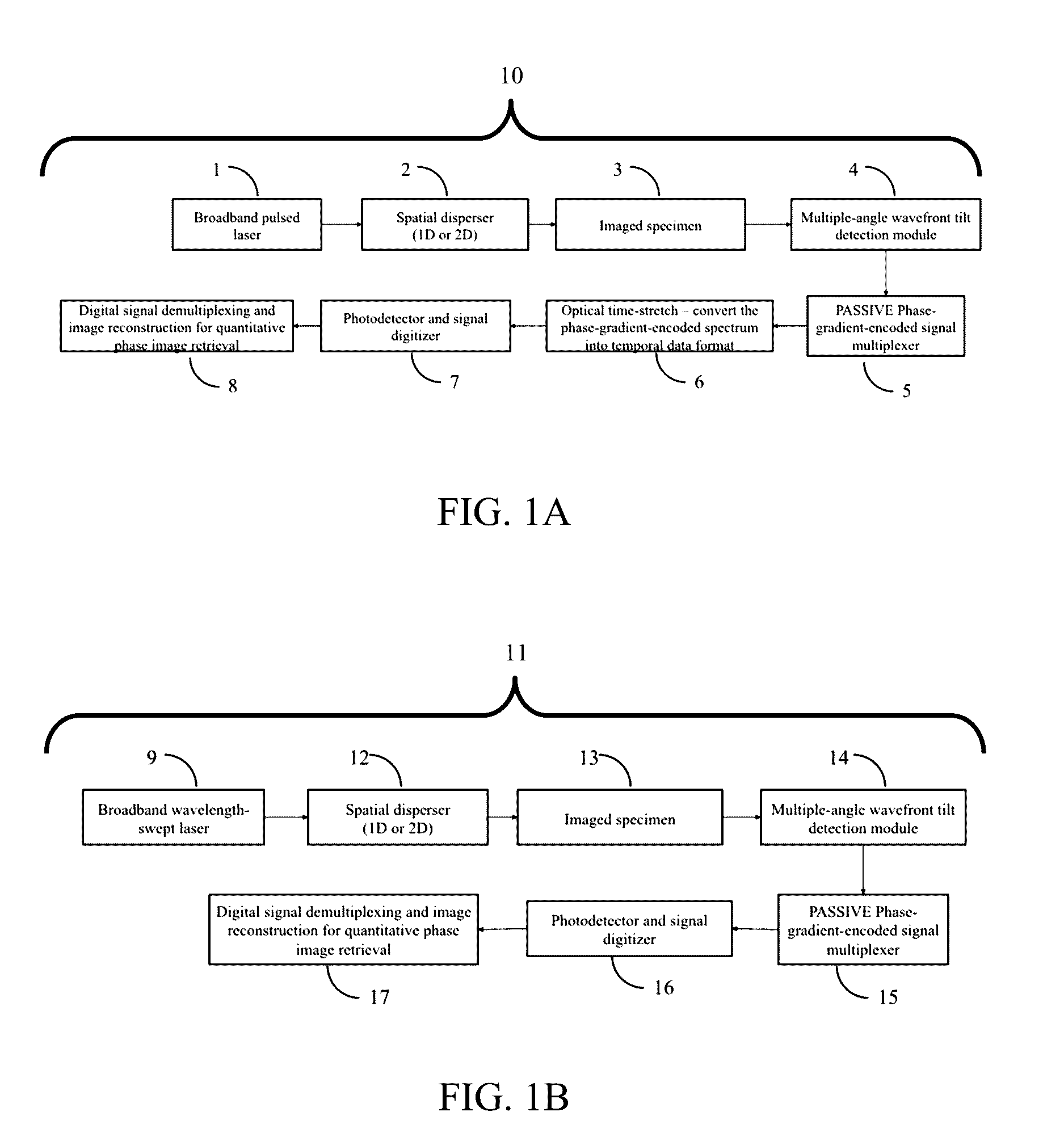 Apparatus and method for quantitative phase-gradient chirped-wavelength-encoded optical imaging