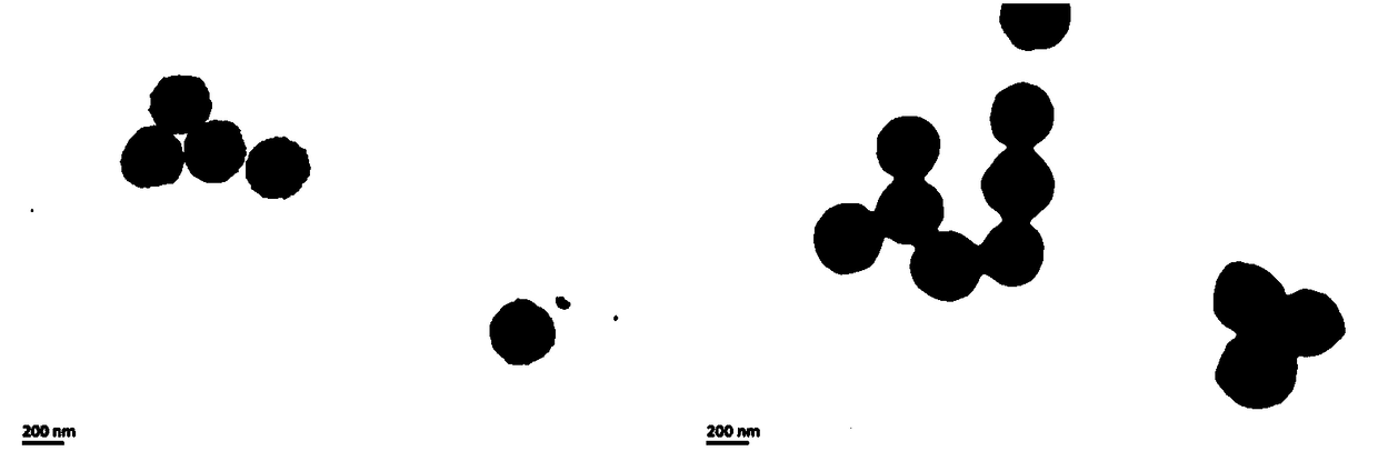 Zanamivir-magnetic nanoparticle conjugate, preparation method thereof and application