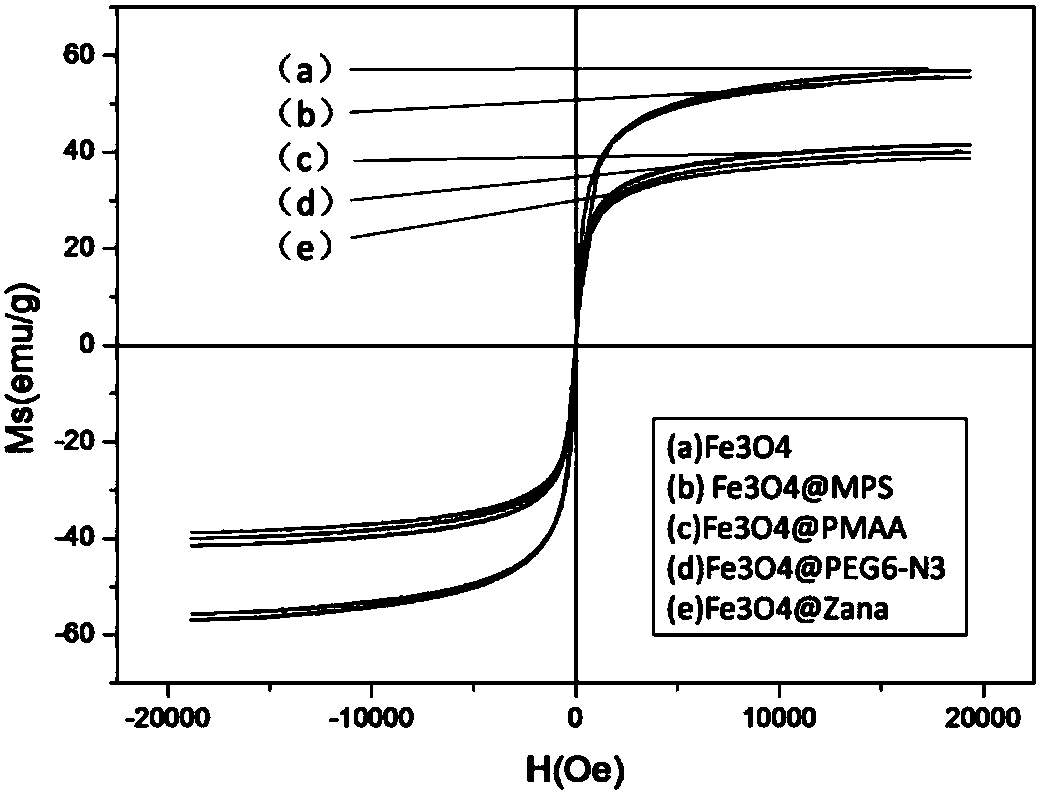 Zanamivir-magnetic nanoparticle conjugate, preparation method thereof and application