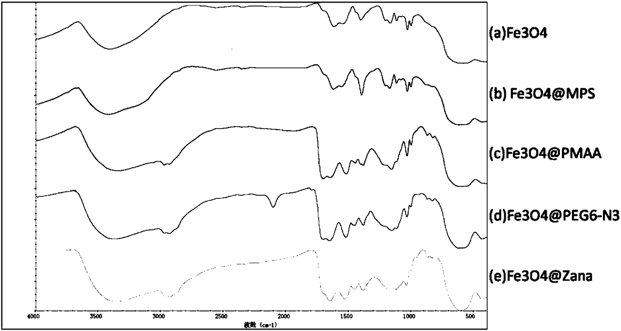 Zanamivir-magnetic nanoparticle conjugate, preparation method thereof and application