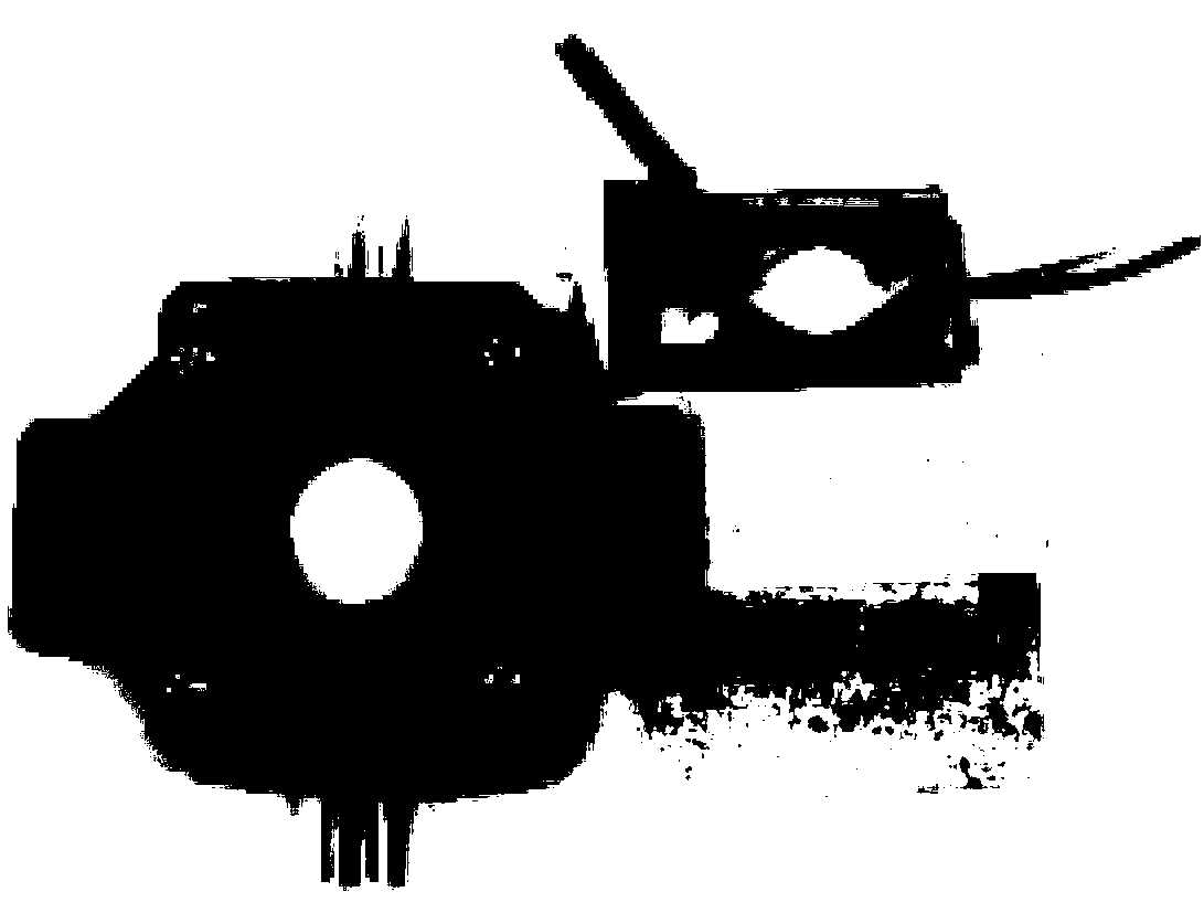 Intracellular pH value detection method