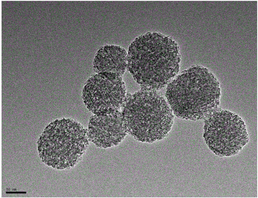 Method for detecting human IgG concentration