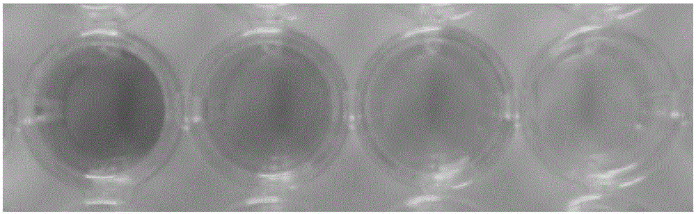 Method for detecting human IgG concentration