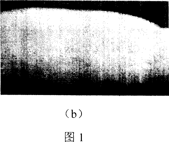 Surfactant for magnesium alloy TIG welding and its prepn process and usage