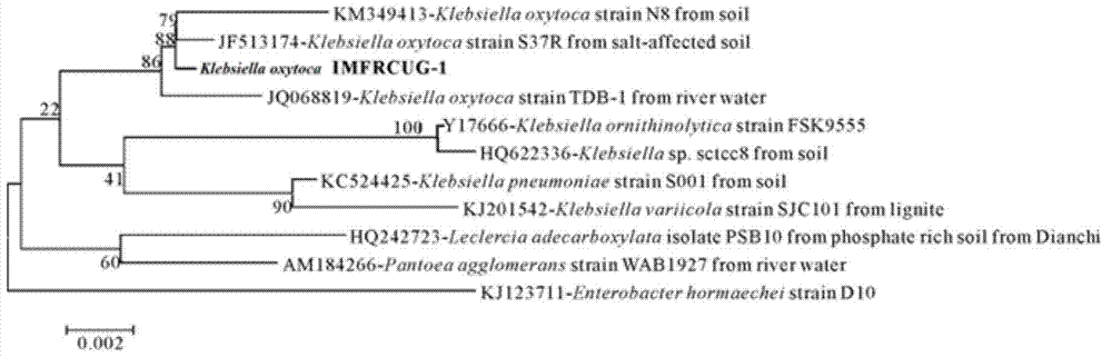 A Dissimilatory Iron-Reducing Bacteria and Its Application