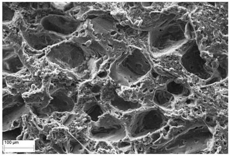 Foam type low-density silicone rubber-based flexible neutron shielding material and preparation method thereof