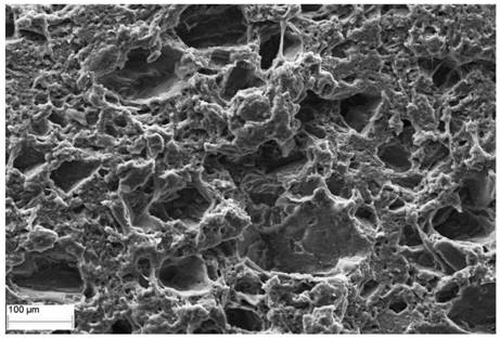 Foam type low-density silicone rubber-based flexible neutron shielding material and preparation method thereof