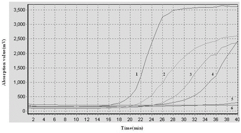 Detection kit for ORF1a2 gene of Middle East respiratory syndrome coronavirus