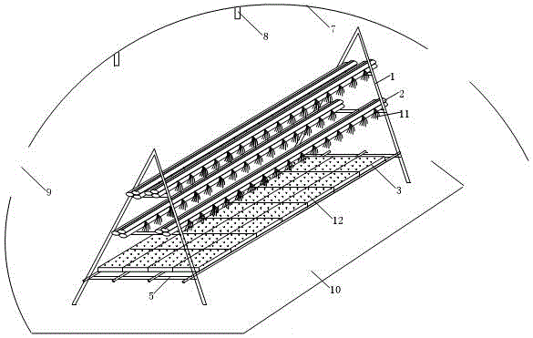 Interplanting cultivation device for anoectochilus formosanus and dendrobium officinale and method thereof