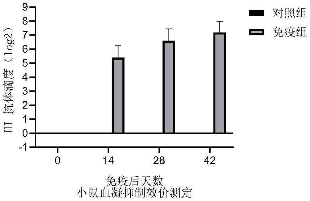 Recombinant baculovirus for expressing porcine parvovirus VP2 protein as well as preparation method and application of recombinant baculovirus