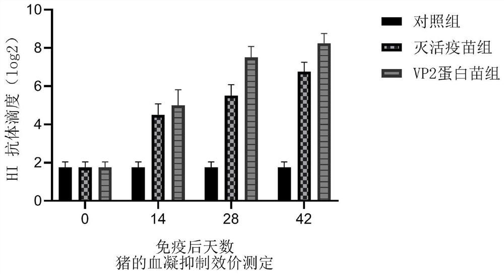 Recombinant baculovirus for expressing porcine parvovirus VP2 protein as well as preparation method and application of recombinant baculovirus