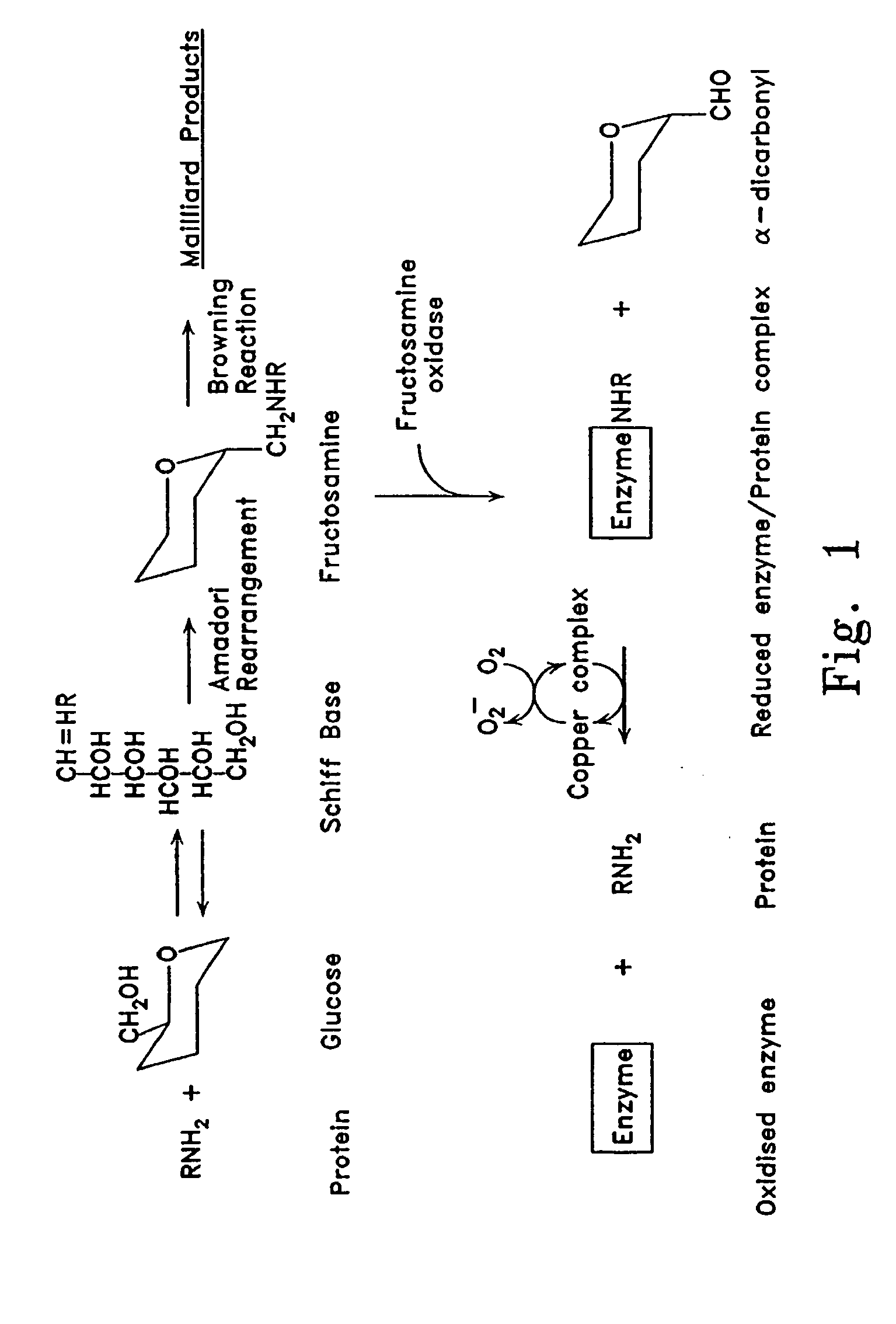 Treatment of diabetes with copper binding compounds