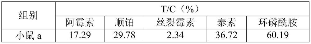 Transplant for constructing bile duct cancer xenograft model and preparation method and application of transplant