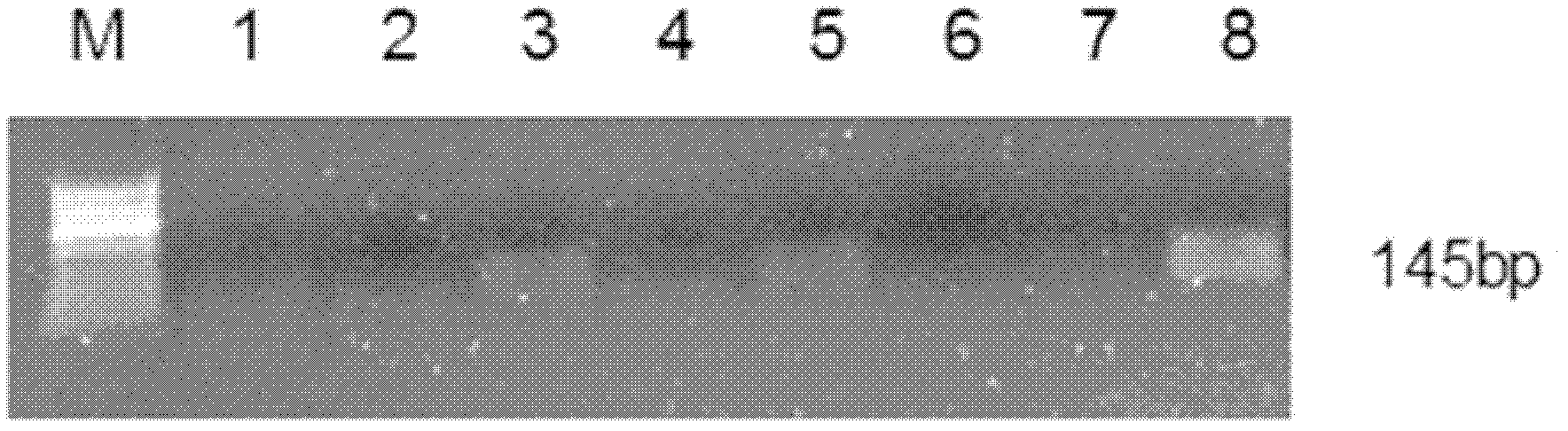 Poultry egg windowing and sealing method