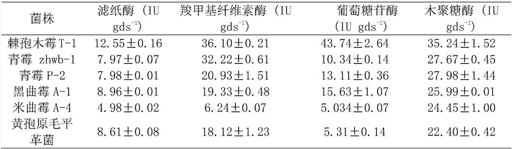 A strain of Trichoderma aculeatus, its agent and its application in organic waste treatment