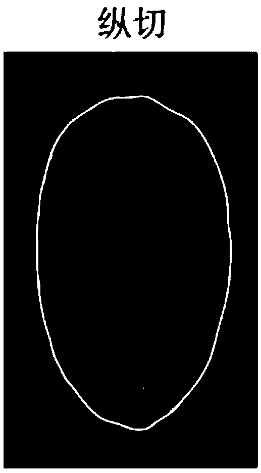 Method for improving imaging quality of Arabidopsis thaliana seeds