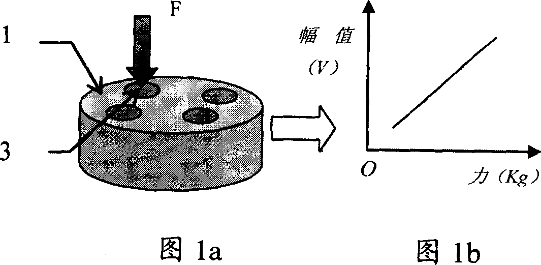 System and method for measuring pressure distribution and interval between two bearers