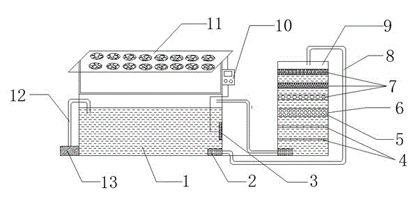 Seawater purifying, sterilizing and lighting device of sea cucumber cultivating pond