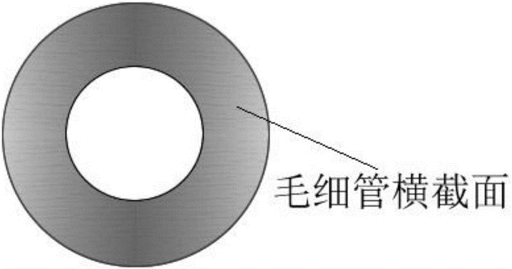 Capillary structure-based optical fiber high-temperature sensor and preparation method thereof