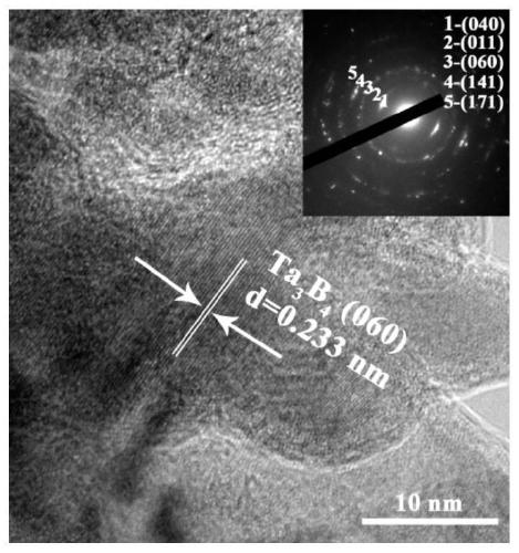 A kind of tantalum boride biological coating and its preparation method and application