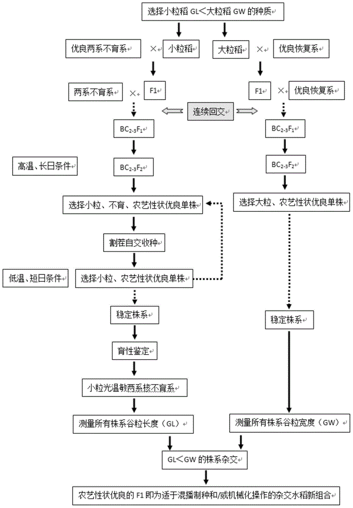 Breeding method for hybrid rice