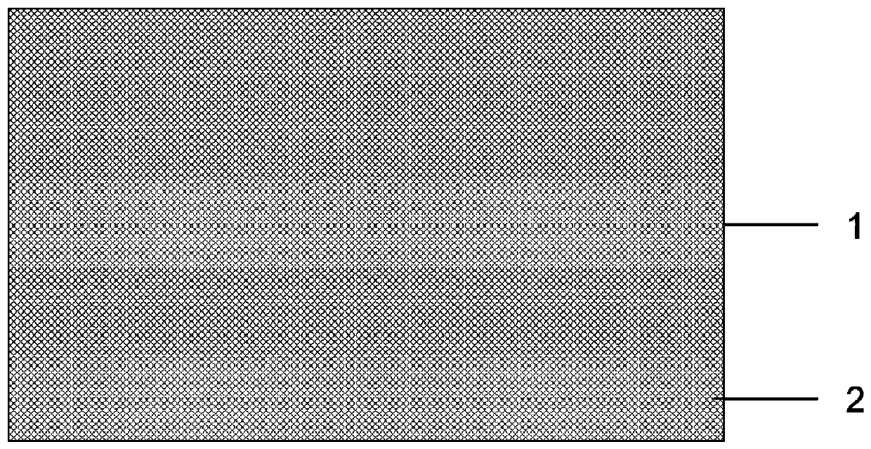 Physical prevention and treatment device for coptocaryon irritans disease and application method thereof