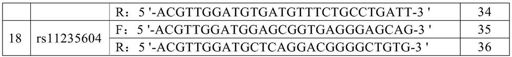 Early screening method and kit for Crohn disease susceptibility genes