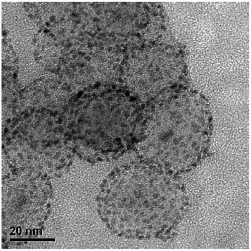 Nano-bioprobe for detecting pathogenic bacteria and preparation method thereof