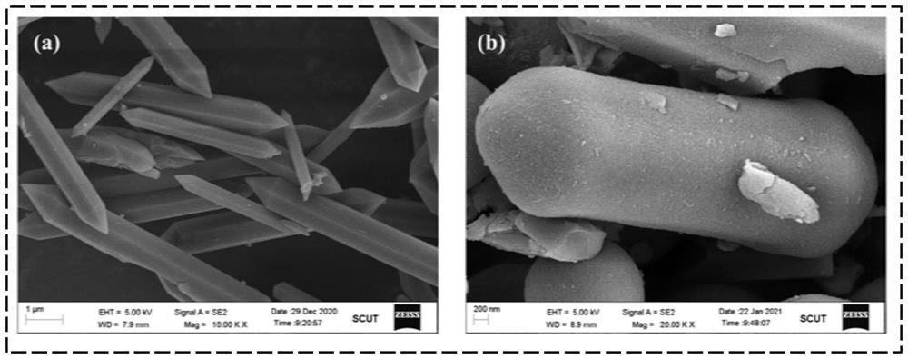 Molecularly imprinted polymer for targeted degradation of emerging pollutants based on advanced oxidation system as well as preparation method and application of molecularly imprinted polymer