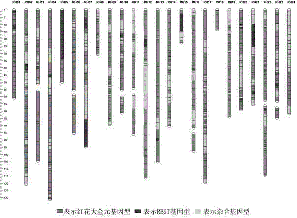 Breeding method for directed improvement of tobacco black shank resistance by molecular marker-assisted selection