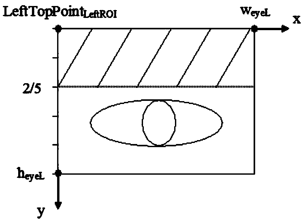 Automatic positioning and proportion determining method for proportion of human face