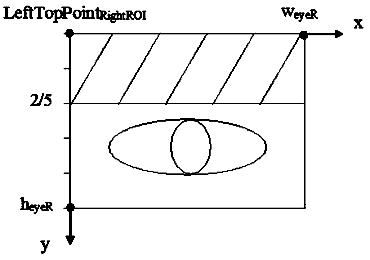 Automatic positioning and proportion determining method for proportion of human face