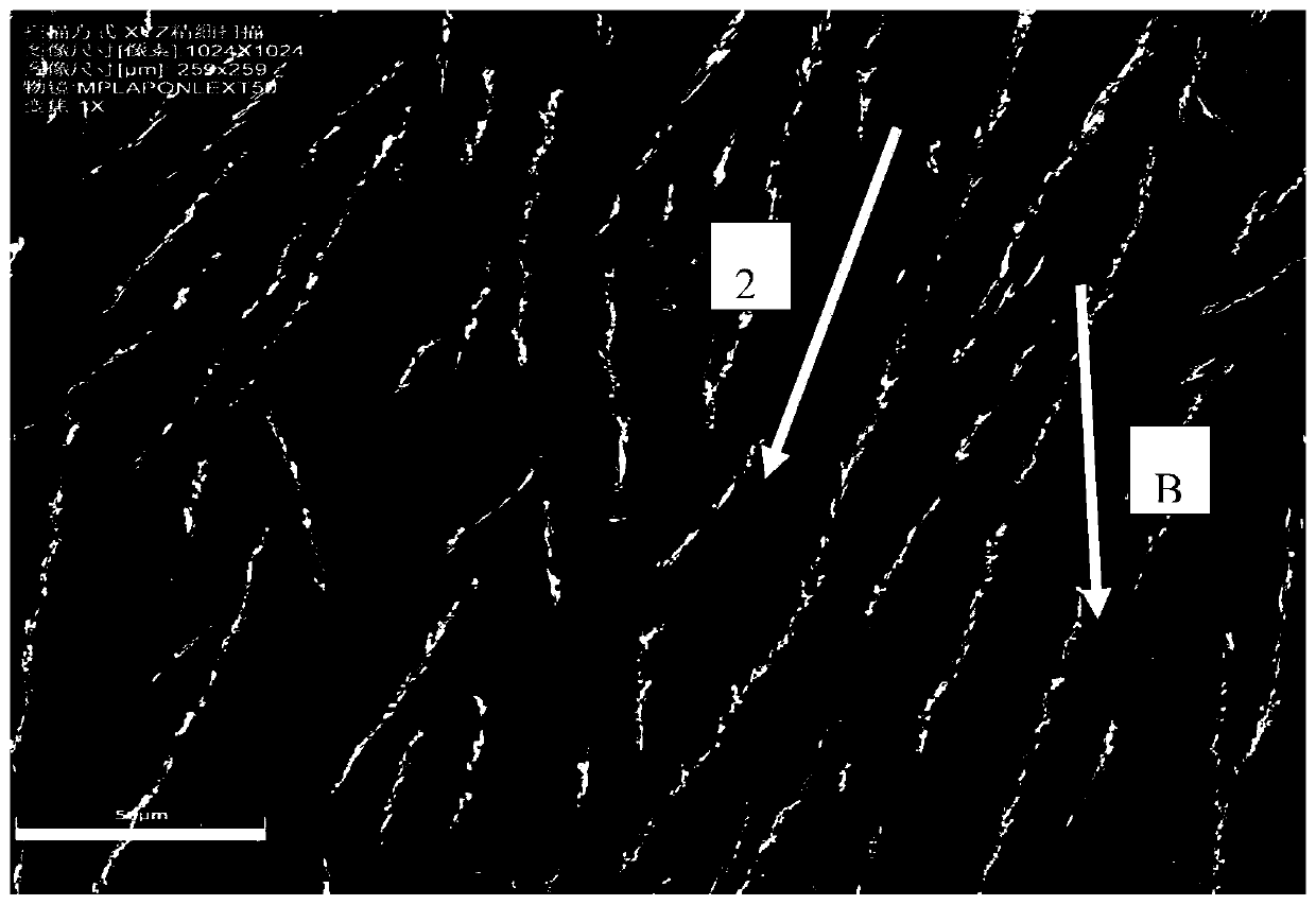 A Method of Using Magnetic Field to Regulate the Ordered Growth of Organic Thin Film Molecules