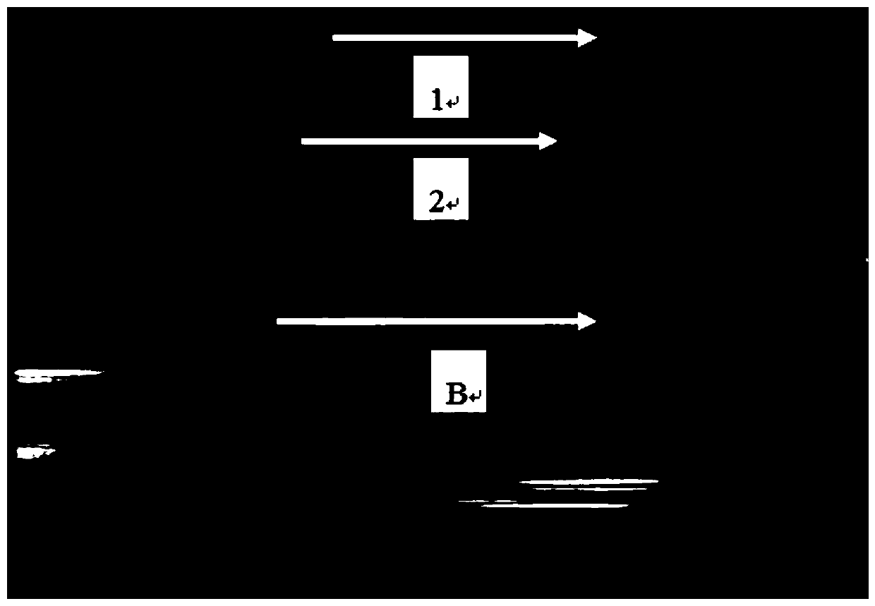 A Method of Using Magnetic Field to Regulate the Ordered Growth of Organic Thin Film Molecules