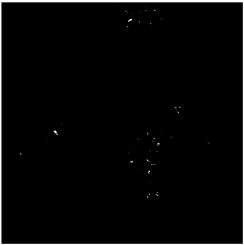 Nano-drug containing cis-platinum and arsenic trioxide and preparation method thereof