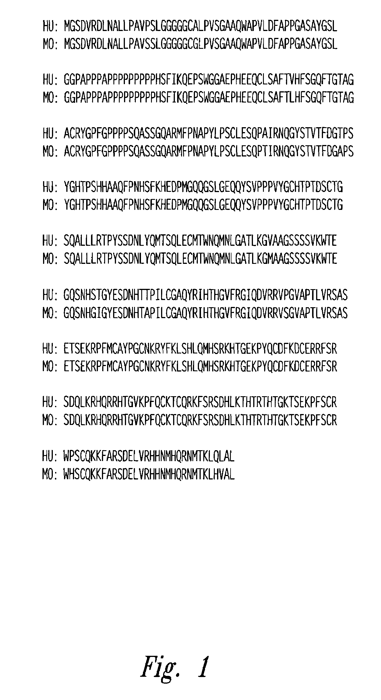 Compositions and methods for WT1 specific immunotherapy