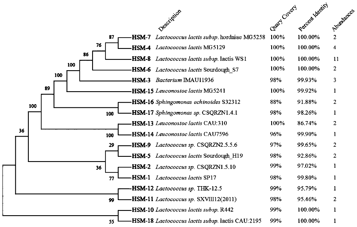 Method for directionally screening probiotic strains from Hu sheep milk