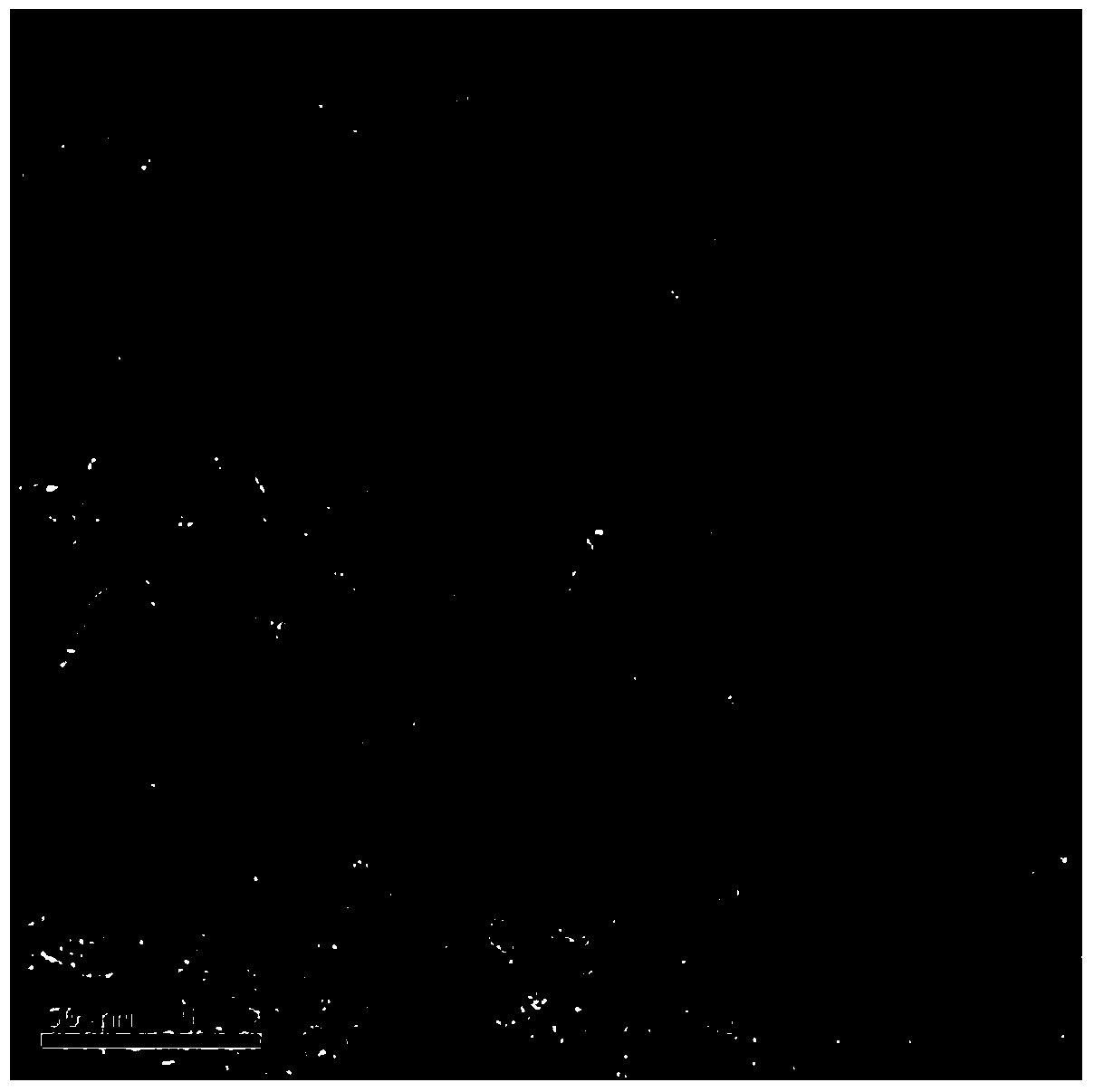 Graphite carbon/ferric oxide composite material and its preparation method and application