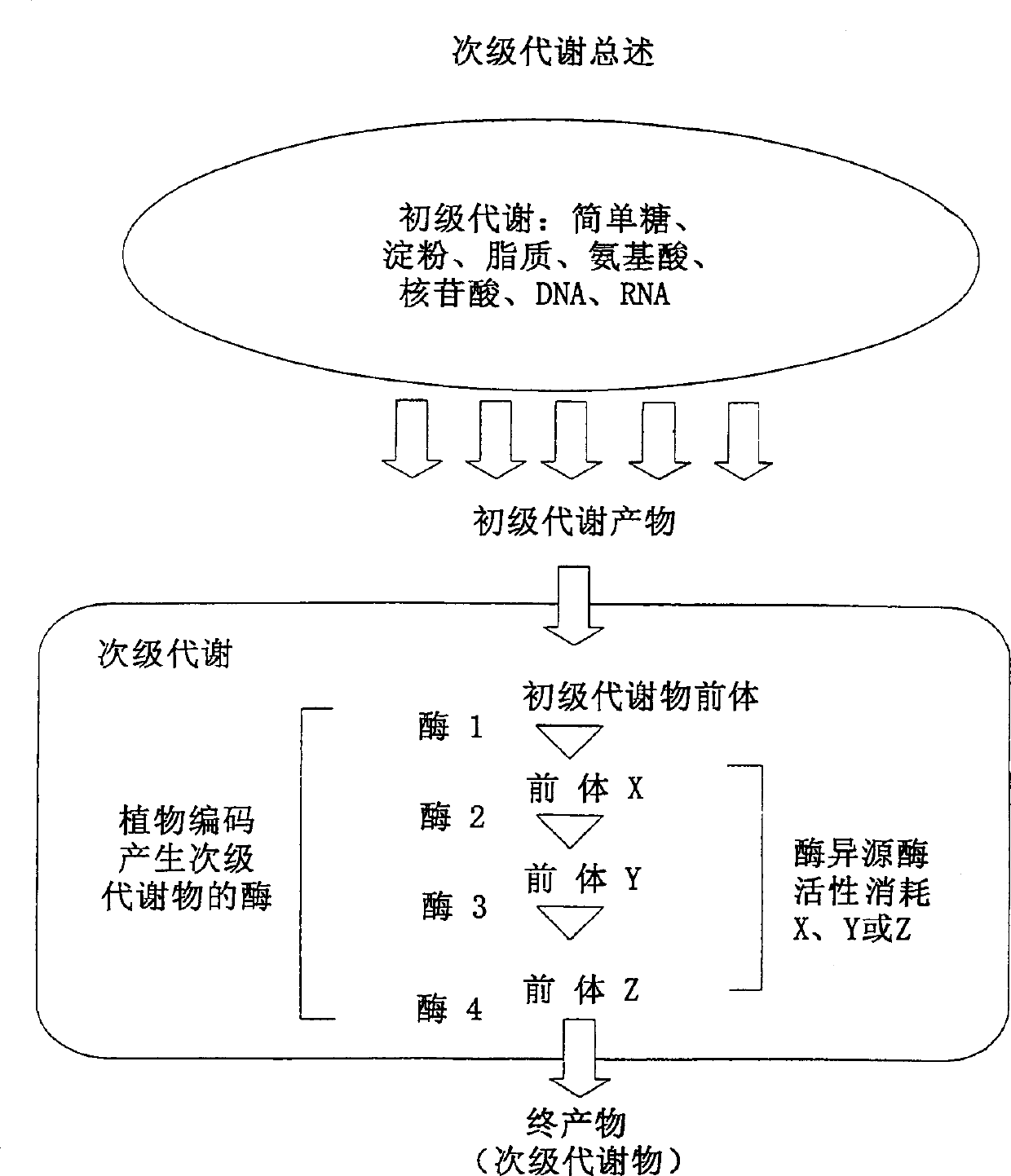 Method for compositions for modifying levels of secondary metabolic compounds in plants