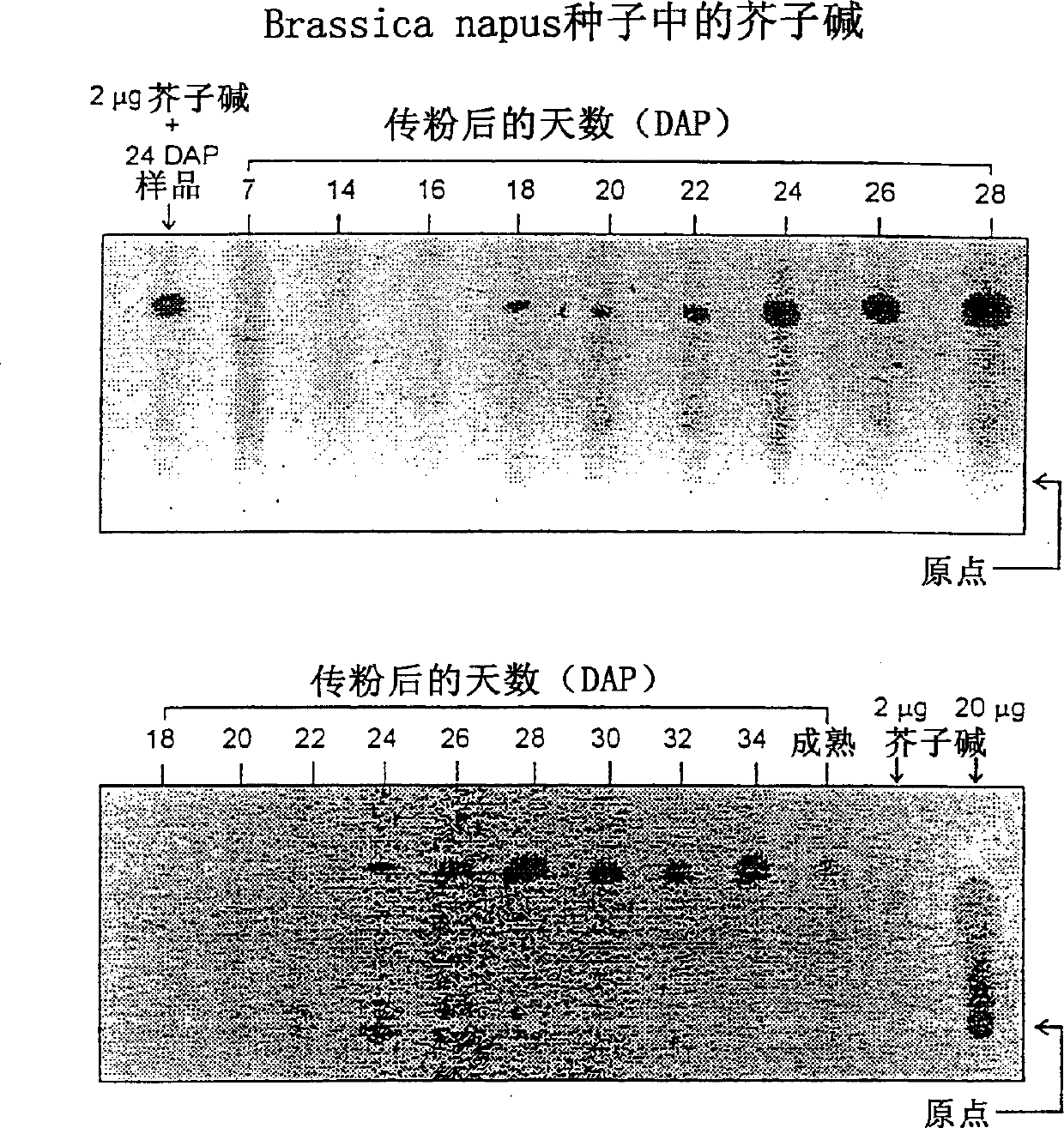 Method for compositions for modifying levels of secondary metabolic compounds in plants