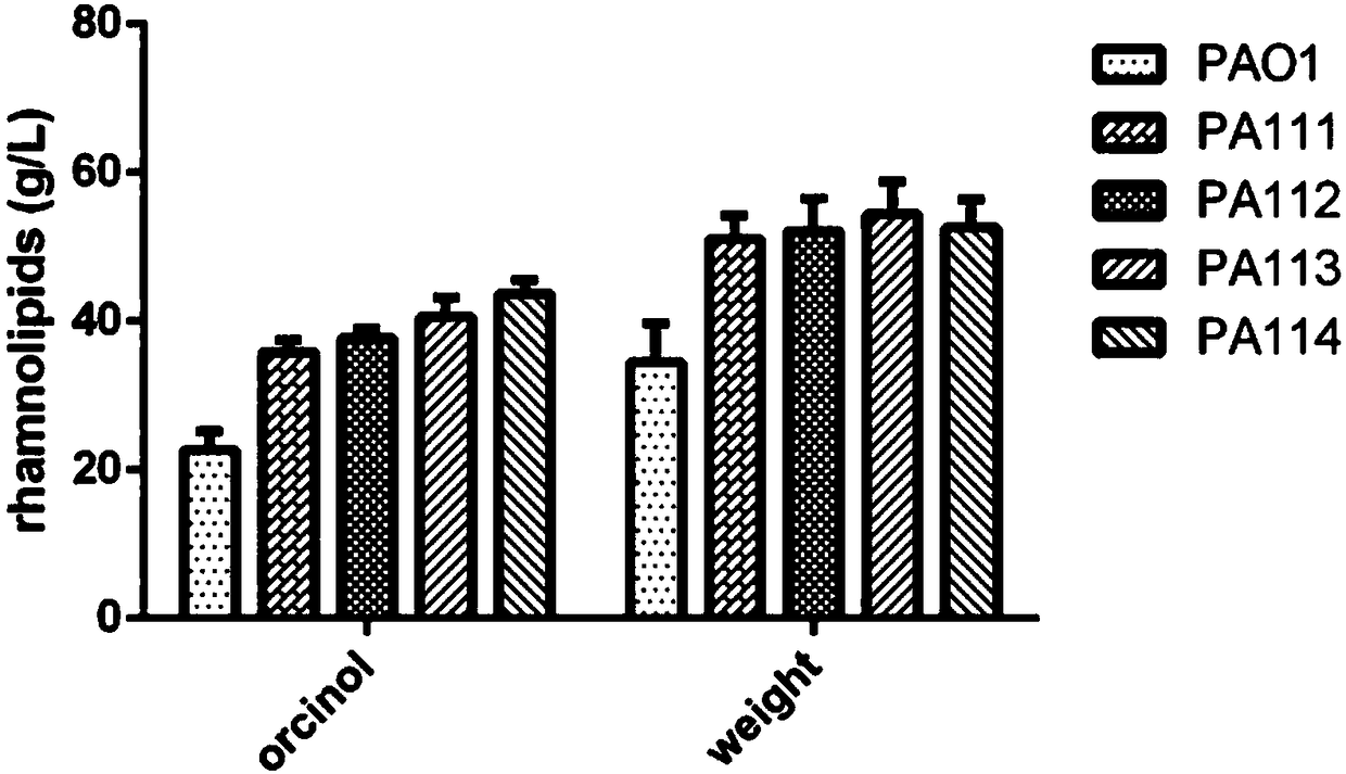 Pseudomonas aeruginosa for increasing yield of rhamnolipid, and construction method thereof