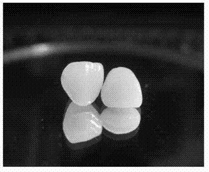 Glass ceramic for making dental prosthesis and preparation method thereof