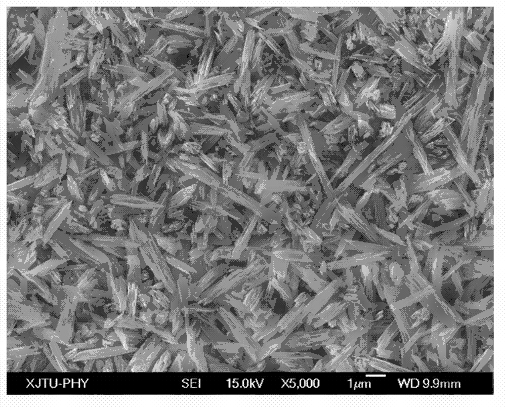 Glass ceramic for making dental prosthesis and preparation method thereof