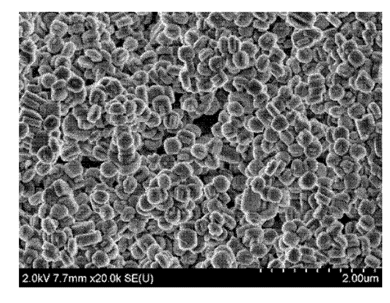 Preparation method for metal-based MFI type zeolite molecular sieve film