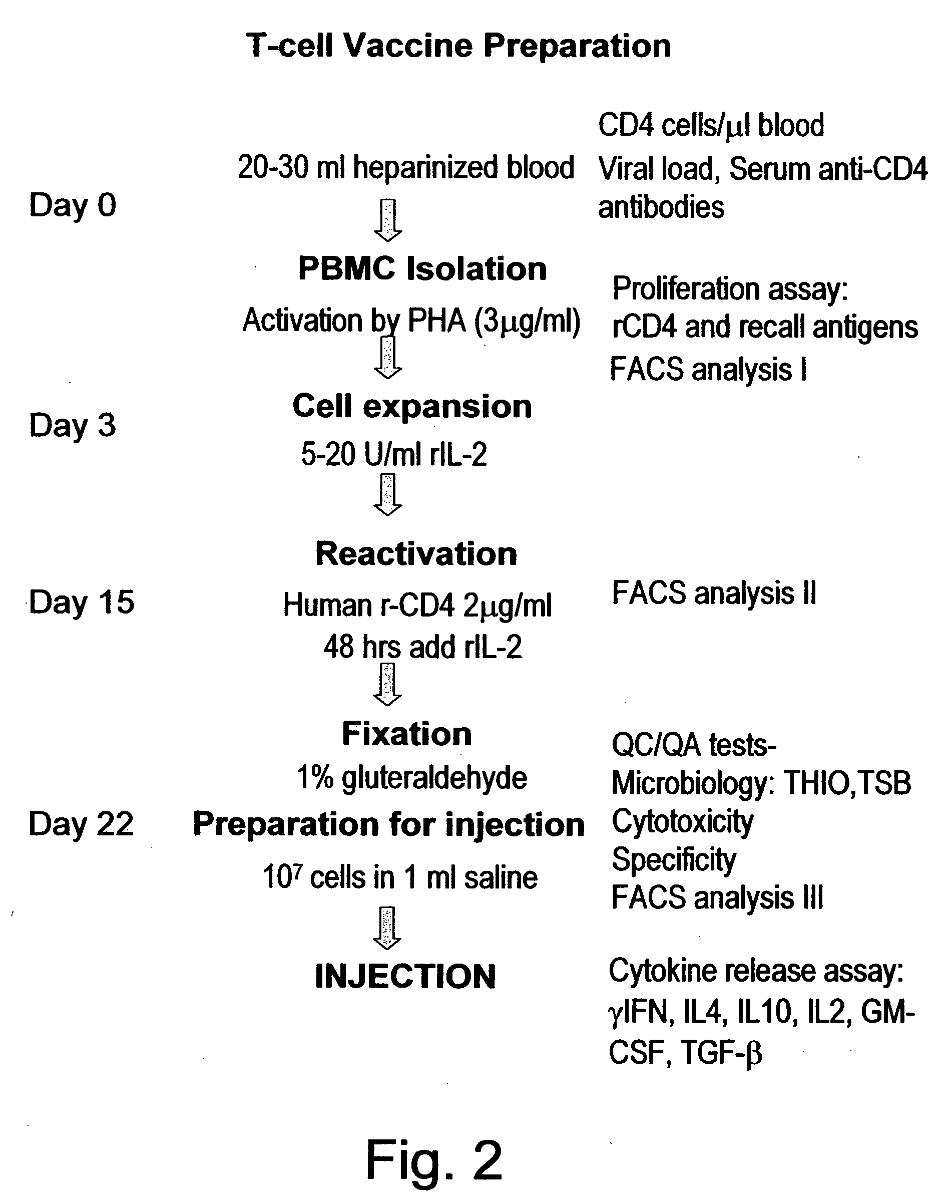 T-cell vaccination in the treatment of HIV infection