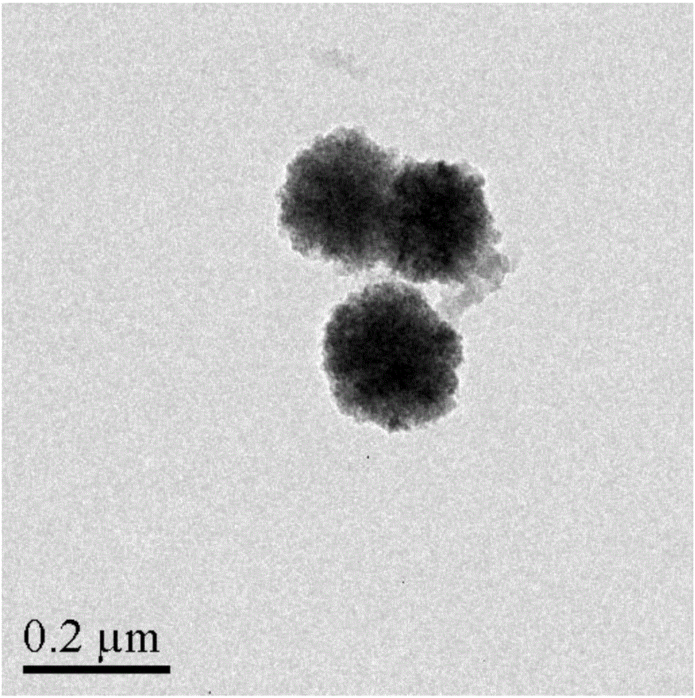 Composite magnetic nanoparticles Fe3O4/MPS/PAA/NTA-Ni&lt;2+&gt; and preparation method and application thereof in separation and purification of histidine-tagged proteins