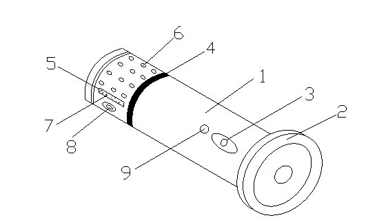 Flashlight with mosquito expelling efficacy