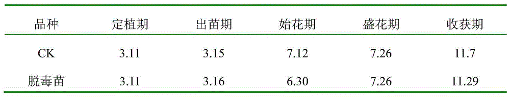 A kind of Scrophulariaceae breeding method