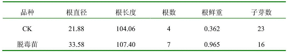 A kind of Scrophulariaceae breeding method