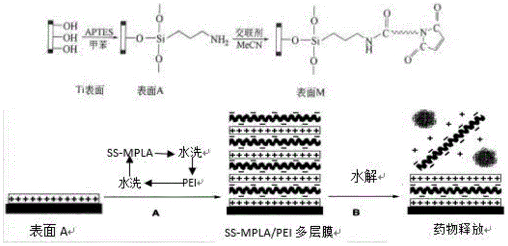 Method for constructing slow release system for medicament on surface of medical titanium alloy implant